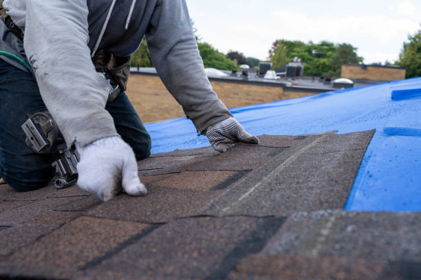 Roof Gutter Cleaning in Glen Rose, TX